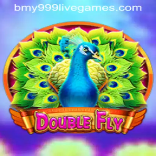 DoubleFly Game Description and Rules